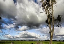 希勒：签约安东尼是导致滕哈赫被解雇的原因之一.