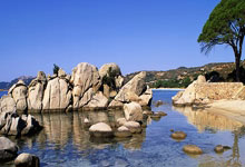 虎扑体育：范尼：迫不及待想开始工作 很自豪能执教莱斯特.